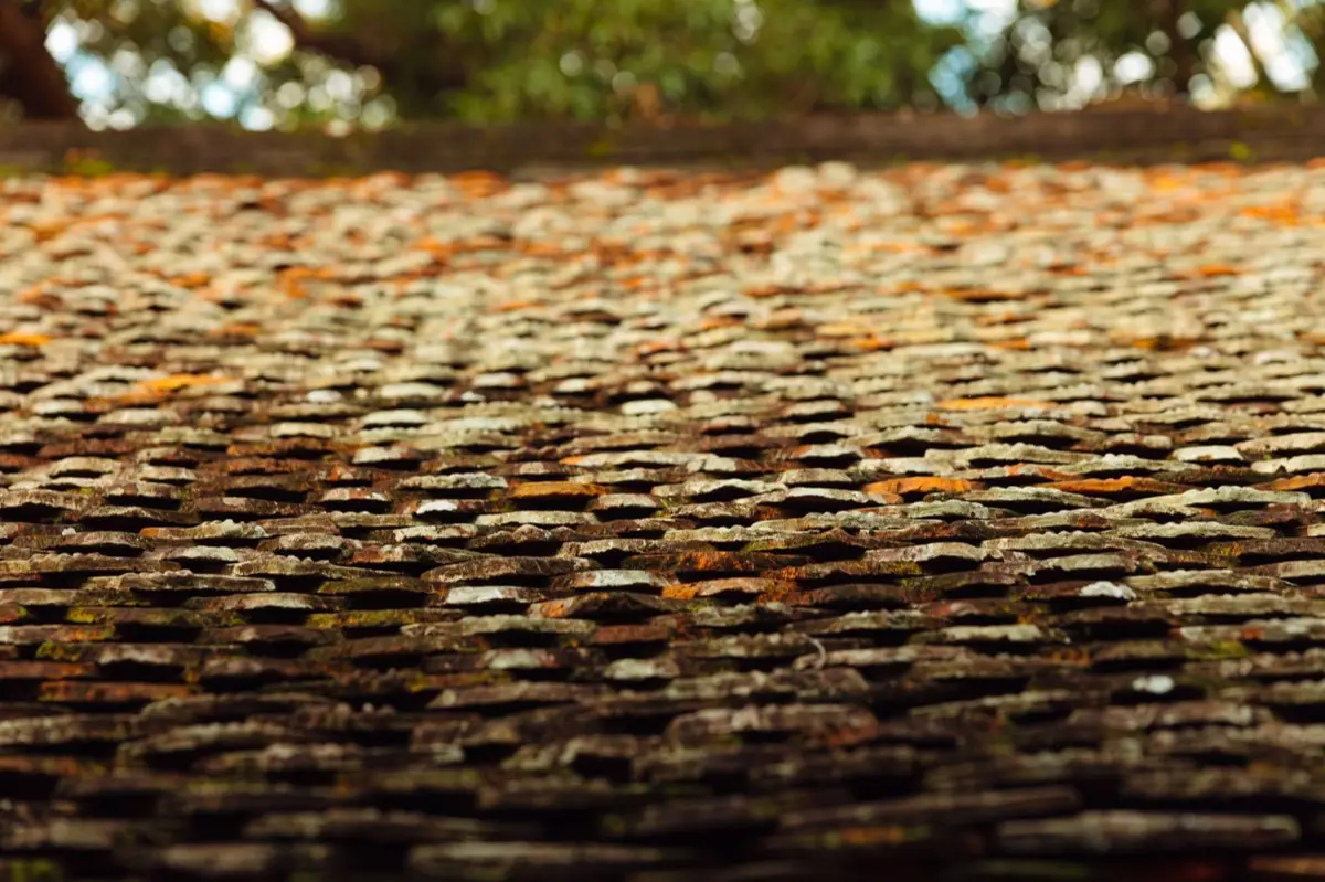 Aging shingle roof with moss growth and granule loss in Gresham, OR